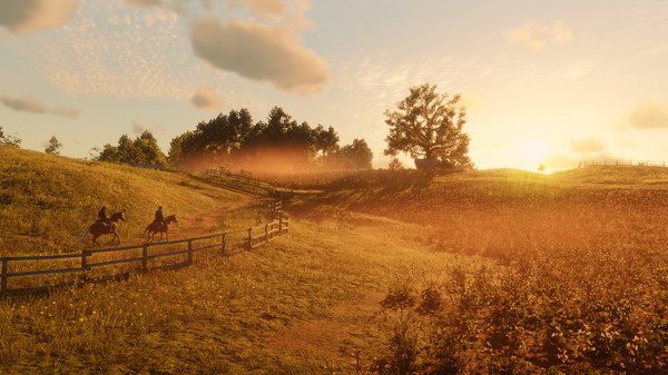 Red Dead Redemption 2 (6)
