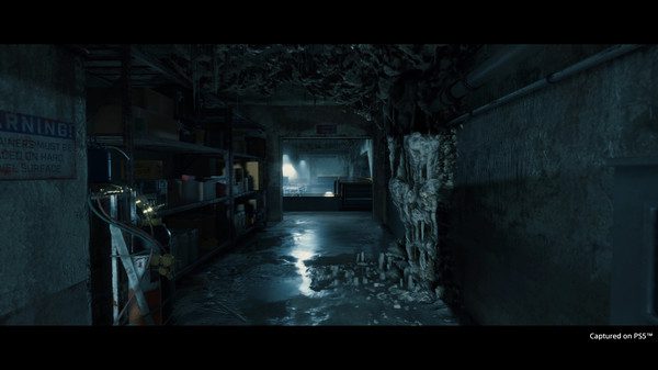 Death Stranding Directors Cut (9)