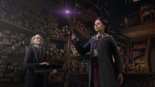 Hogwarts Legacy (3)