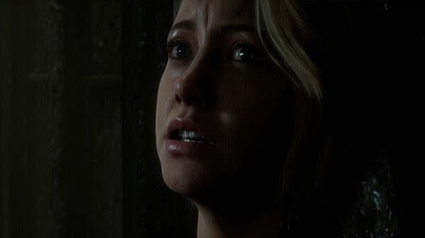 The Dark Pictures Anthology Man of Medan (4)