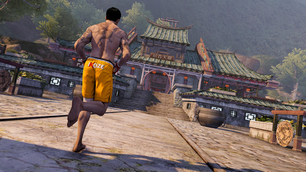 Sleeping Dogs Definitive Edition (5)