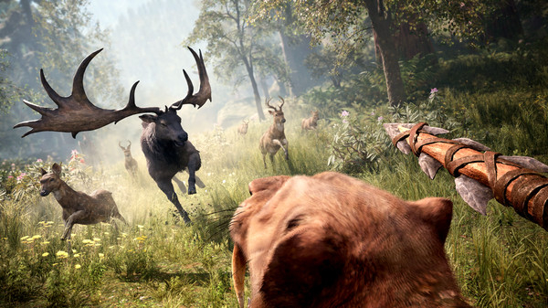 Far Cry Primal (5)