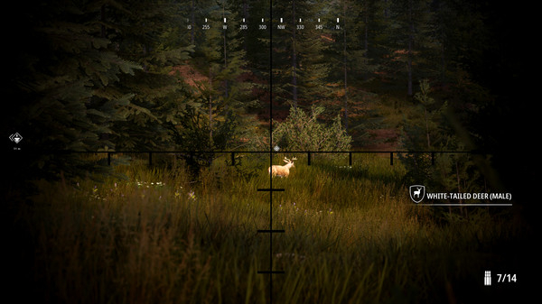 Hunting Simulator 2 (1)
