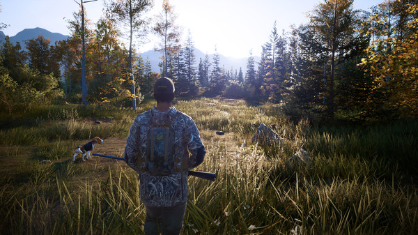 Hunting Simulator 2 (8)