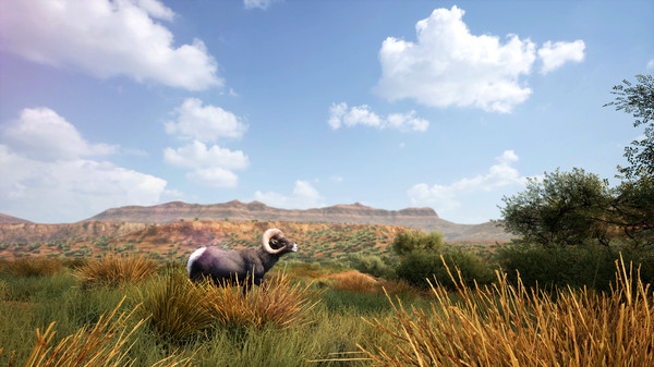 Hunting Simulator 2 (9)