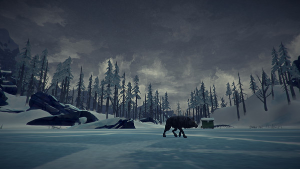 The Long Dark (13)