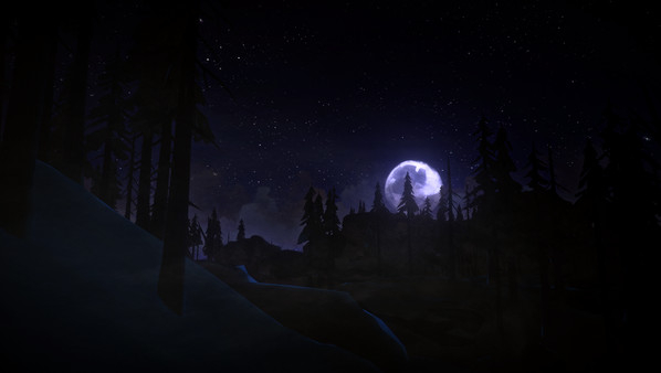 The Long Dark (14)