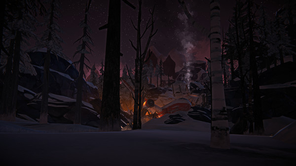 The Long Dark (3)