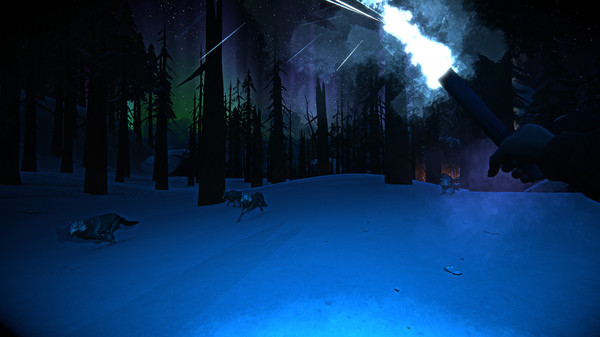 The Long Dark (4)