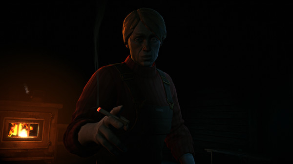 The Long Dark (5)