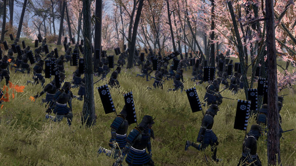Total War Shogun 2 Collection (4)