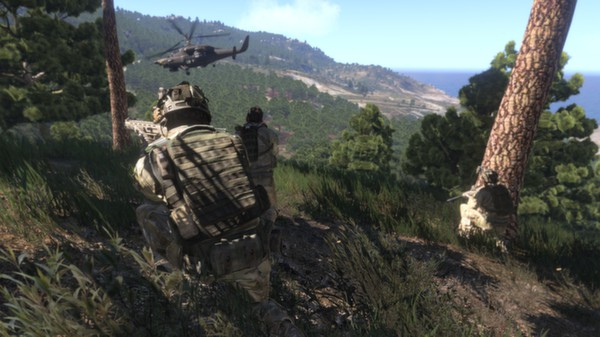 Arma 3 Ultimate Edition (13)