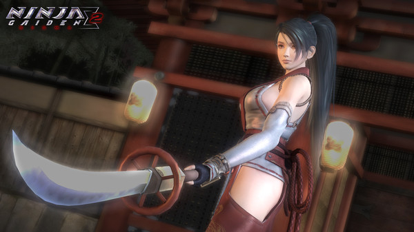 Ninja Gaiden Master Collection (6)