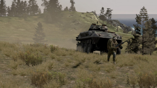 Arma 2 (1)