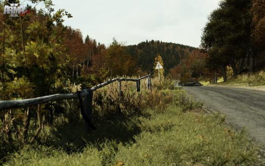 Arma 2 (10)