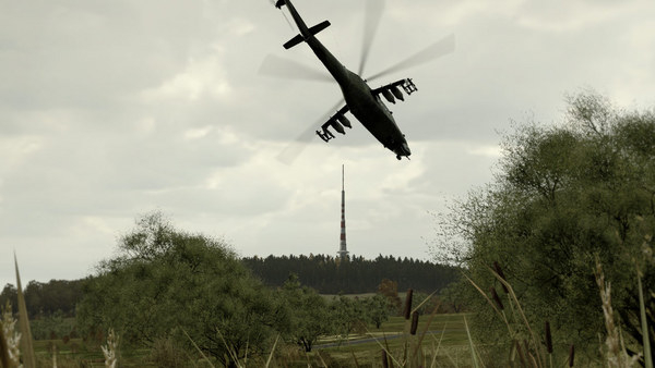 Arma 2 (15)