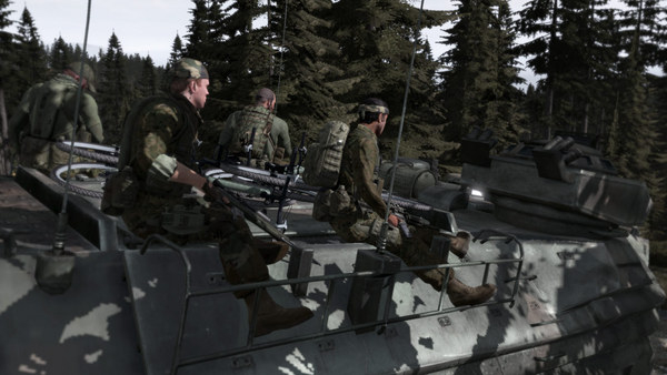 Arma 2 (17)
