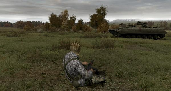 Arma 2 (3)