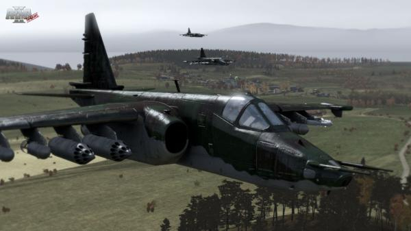 Arma 2 (8)