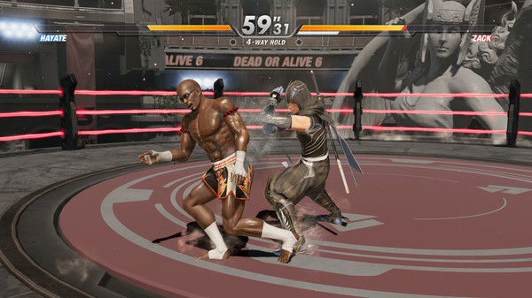 DEAD OR ALIVE 6 (6)